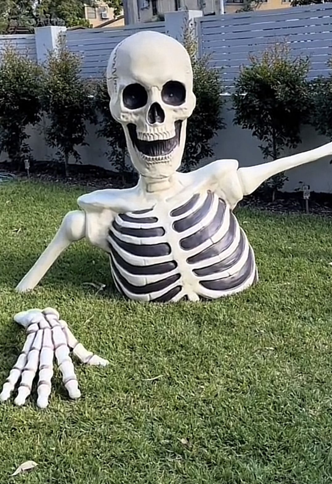 Giant half-skeleton